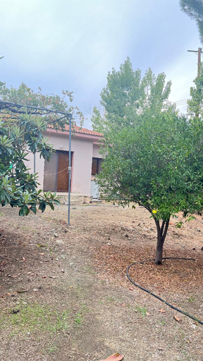 Others 5, Evie's House Arakapas