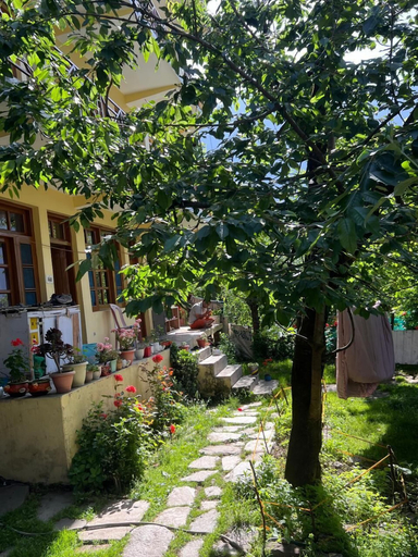 Others 5, The Heaven house, Kullu