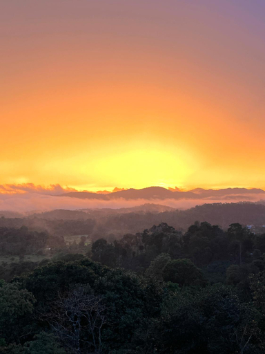 Others 2, TauSco - Homestay & Campsite, Kodagu