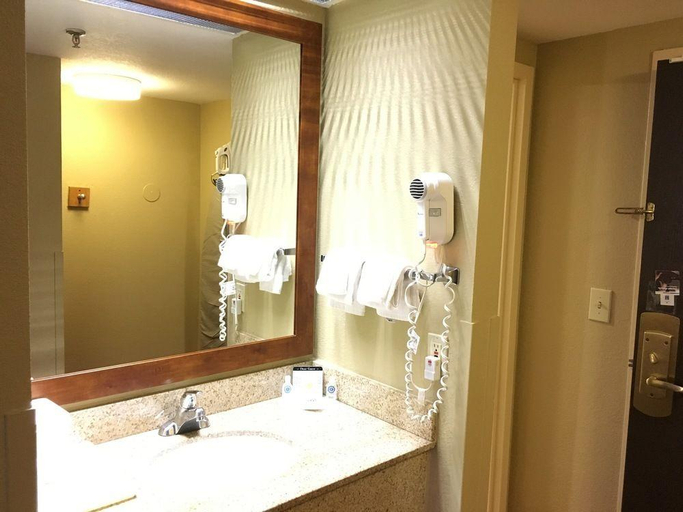 Bathroom 5, Comfort Inn Matthews - Charlotte, Mecklenburg