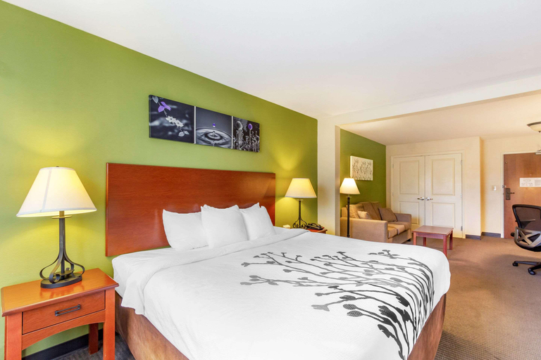 Bedroom 4, Sleep Inn & Suites, Duval