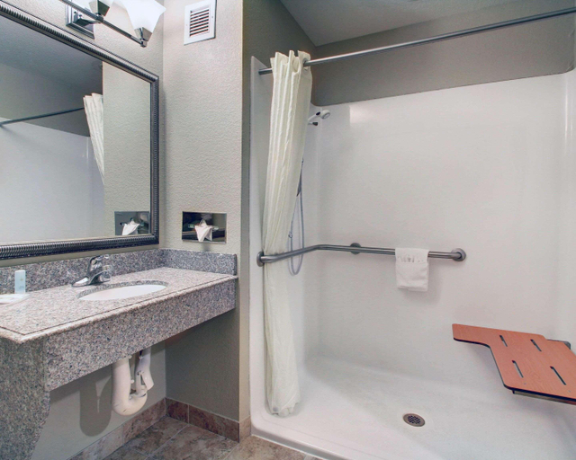 Bathroom 4, Comfort Inn & Suites, Hinds