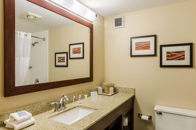 Bathroom 4, Comfort Inn Blacksburg University Area, Montgomery