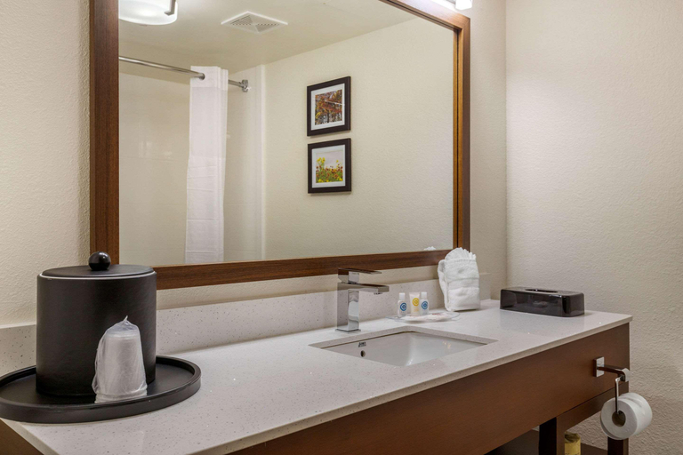 Bathroom 4, Comfort Suites Downtown Winston Salem , Forsyth