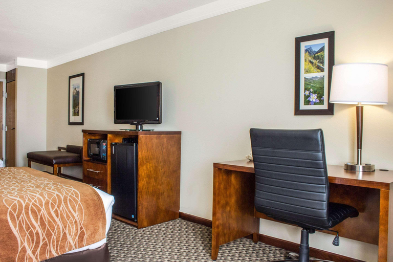 Public Area 3, Comfort Inn & Suites Durango, La Plata