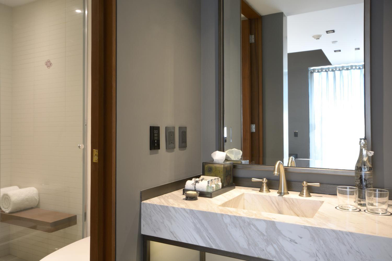 Bathroom 4, Hotel Brick, Mexico City
