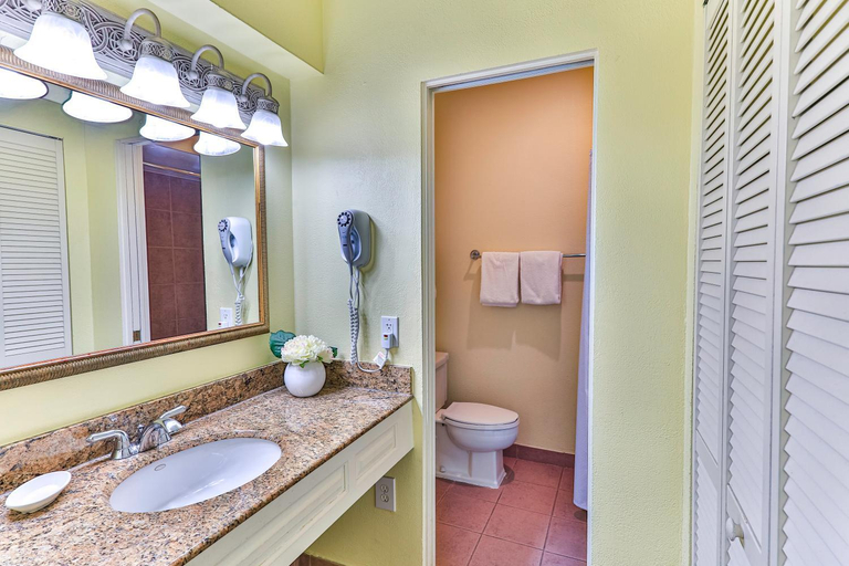 Bathroom 4, Plantation Resort on Crystal River, Ascend Hotel Collection, Citrus