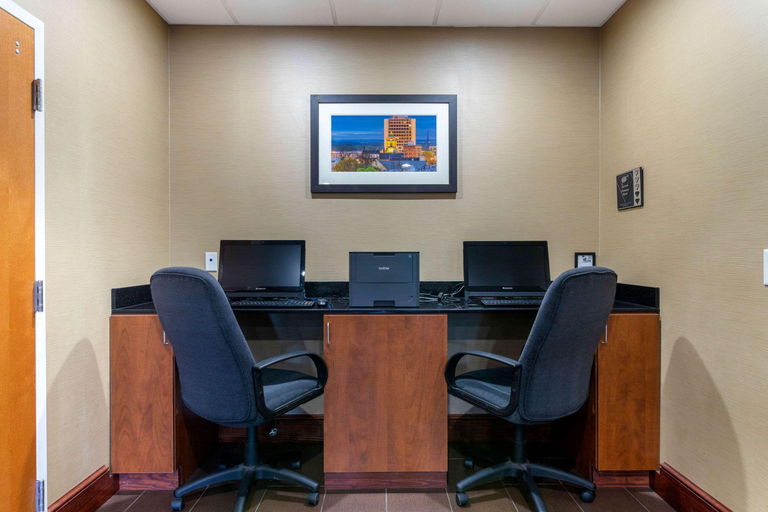 Public Area 2, Comfort Inn & Suites Macon West, Bibb