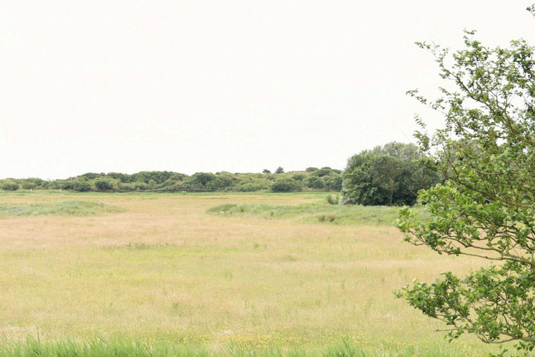 Others 4, Vossehoeck 4 Apartment in Callantsoog, Zijpe
