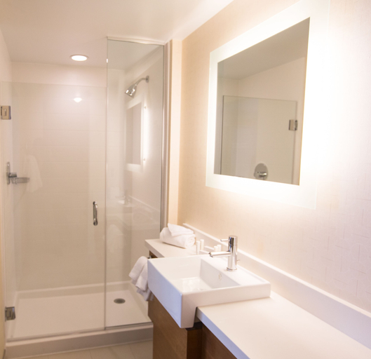 Bathroom 4, SpringHill Suites by Marriott Bloomington, Monroe