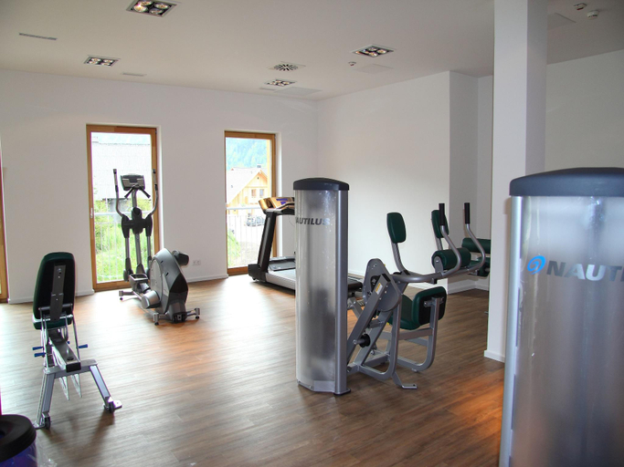2, Chalet in Obertraun near Krippenstein Ski Area, Gmunden