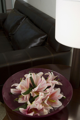 Public Area 2, Casa Rovai Guest House, Florence
