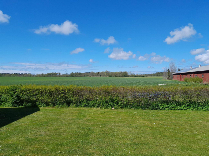 Exterior 3, 4 Star Holiday Home in Gotlands Tofta, Gotland
