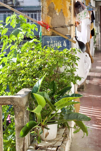 Others 4, Ngoc Ha, Ba Đình