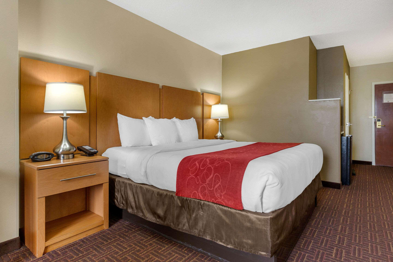 Bedroom 3, Comfort Suites Downtown Winston Salem , Forsyth