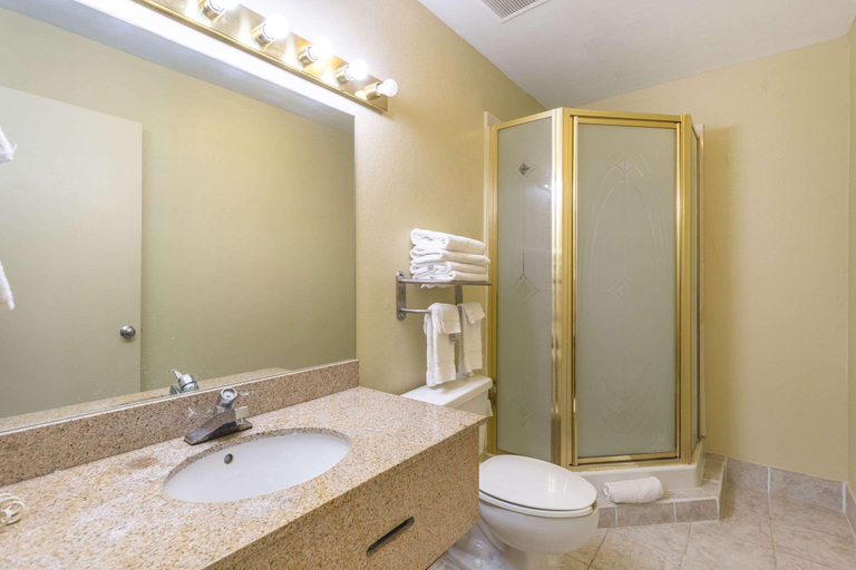 Bathroom 4, Econo Lodge & Suites Clarksville, Montgomery