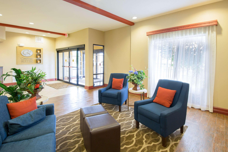 Public Area 2, Comfort Suites Airport South, Montgomery