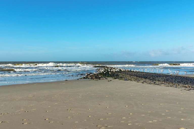 Others 5, Wijde Blick 310 Apartment Near Callanstoog Beach, Zijpe
