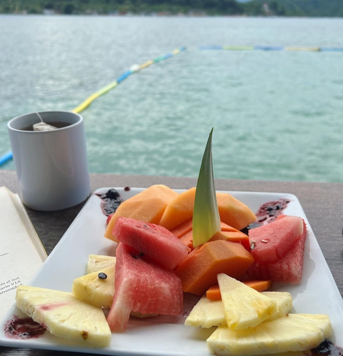 Food & Drinks 5, Hotel Cocotal, Portobelo