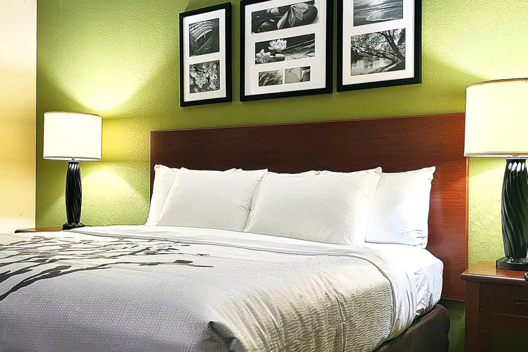 Bedroom 5, Sleep Inn Near Ft. Jackson, Richland