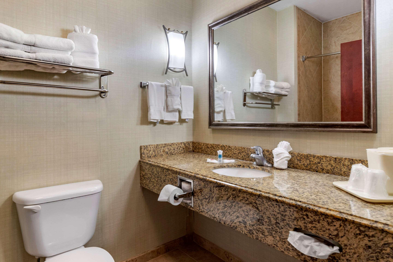 Bathroom 5, Comfort Suites Near Texas A&M - Corpus Christi, Nueces