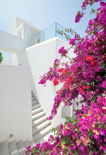 Exterior & Views 2, The George Hotel, South Aegean