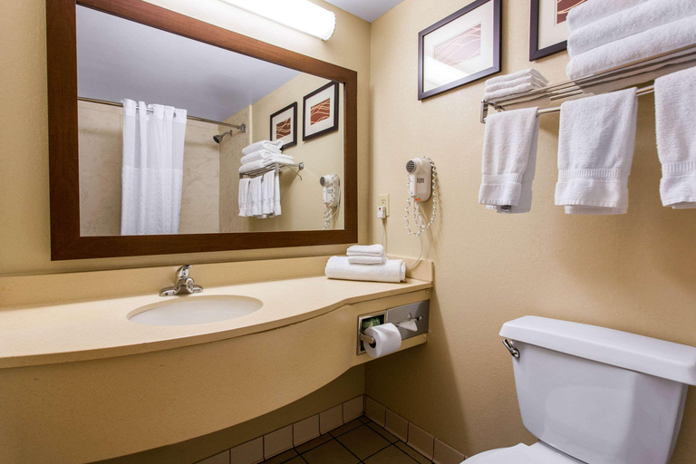 Bathroom 4, Spark by Hilton Wilmington, New Hanover