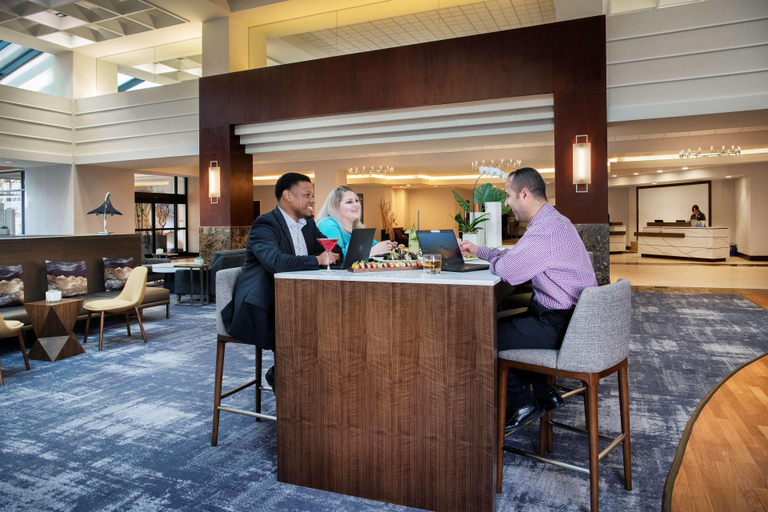 Public Area 5, Hyatt Regency Dulles International Airport, Fairfax