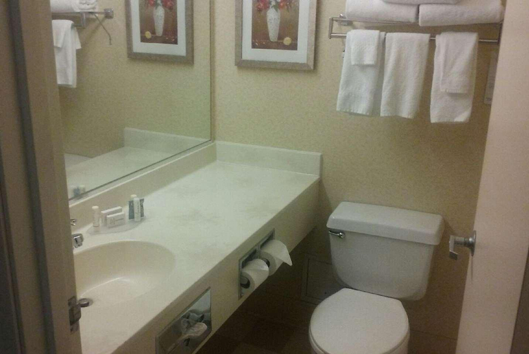 Bathroom 4, Comfort Inn & Suites, Muskingum