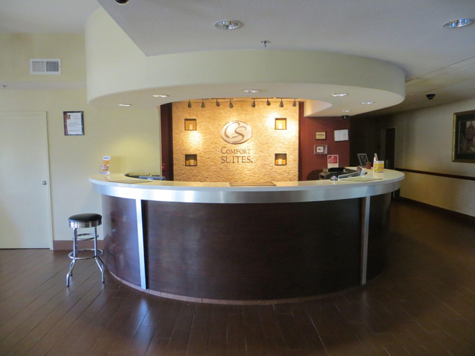 Public Area 2, Comfort Suites Fresno, Fresno