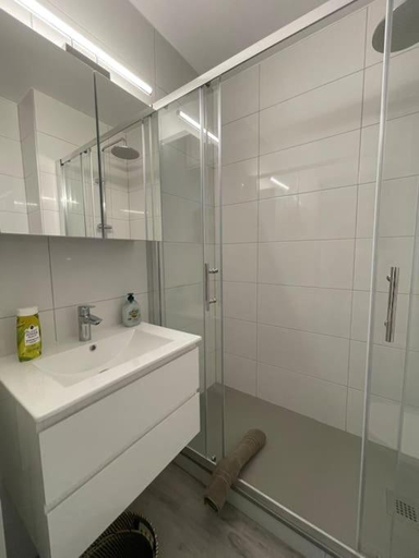 Bathroom 2, T2 Elio - proche gare et aeroport, parking prive, Haut-Rhin