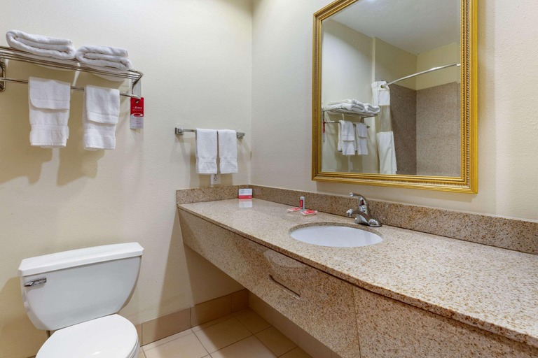 Bathroom 5, Econo Lodge Eutaw AL, Greene
