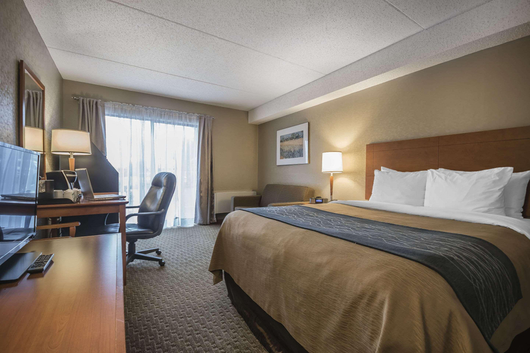 Bedroom 3, Comfort Inn, Fraser Valley