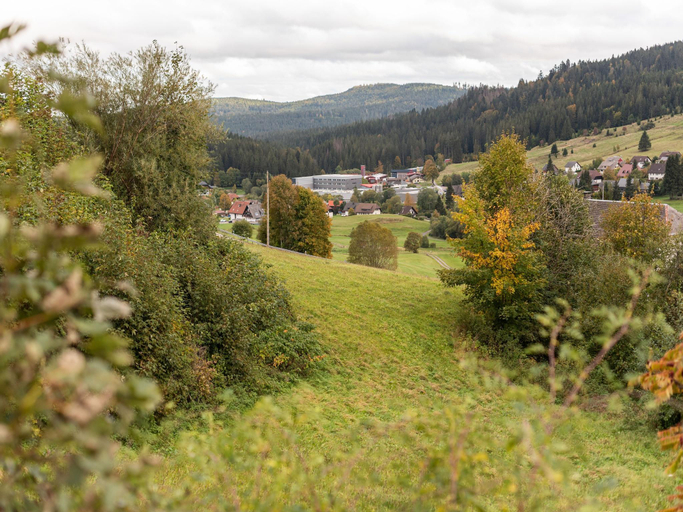 Others 4, Ferienwohnung, Bernau, Waldshut