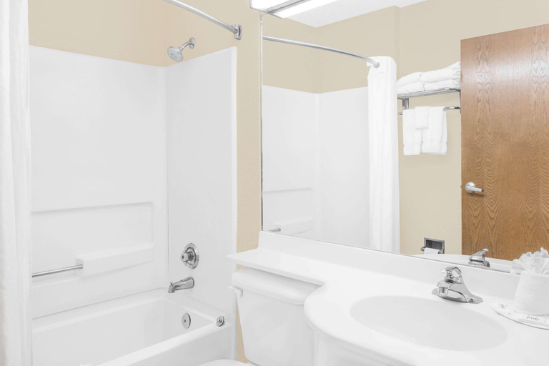 Bathroom 4, Microtel Inn by Wyndham Franklin, Macon
