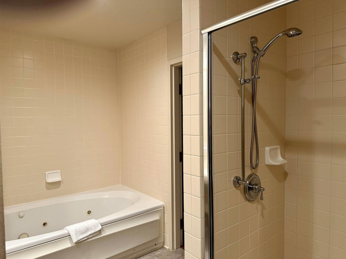 Bathroom 4, Rocklin Park Hotel, Trademark Collection by Wyndham, Placer