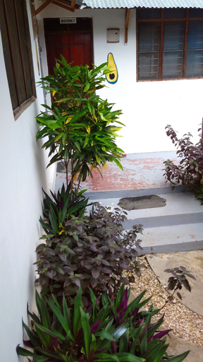 Exterior & Views, Fish Hostel, Kaskazini 'A'