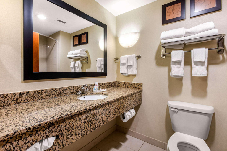 Bathroom 4, Comfort Suites Nashville Manchester, Coffee