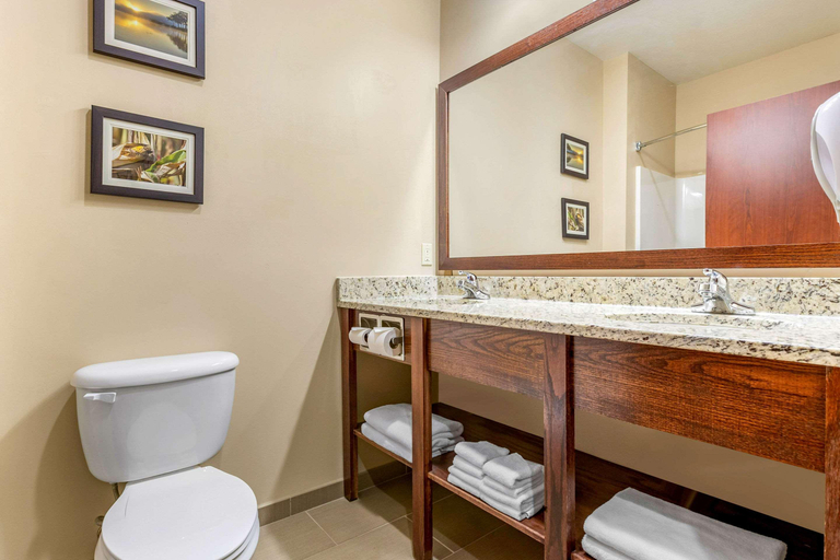 Bathroom 4, Comfort Inn & Suites Davenport - Quad Cities, Scott