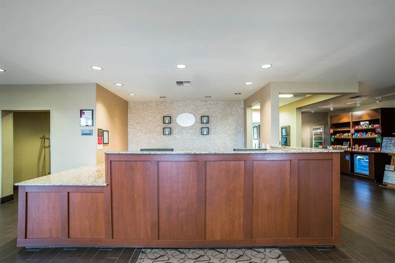 Public Area 2, Comfort Suites Airport - University, Gallatin