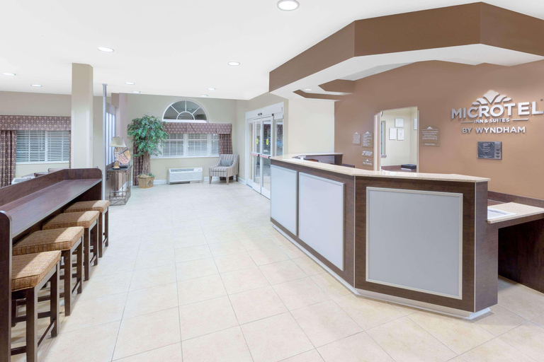Public Area 2, Microtel Inn & Suites by Wyndham Ozark, Dale