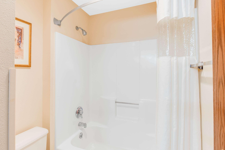 Bathroom 4, Kalamazoo Hotel, Kalamazoo