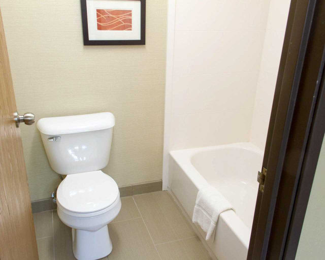 Bathroom 4, Comfort Inn Hastings, Adams