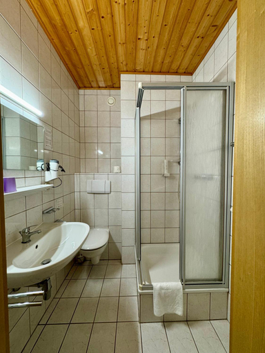 Bathroom 4, Hotel die Traube, Liezen