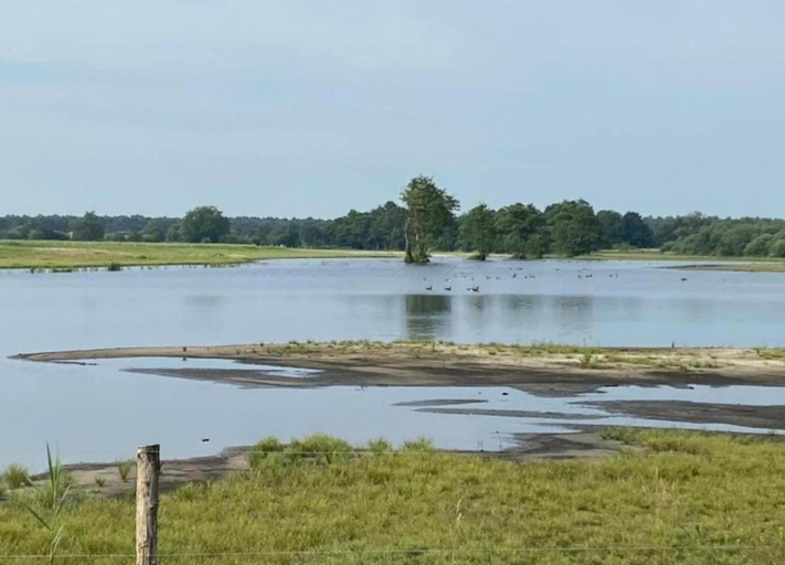 View from property 5, Luxe Lodge Near Schaijk, Landerd