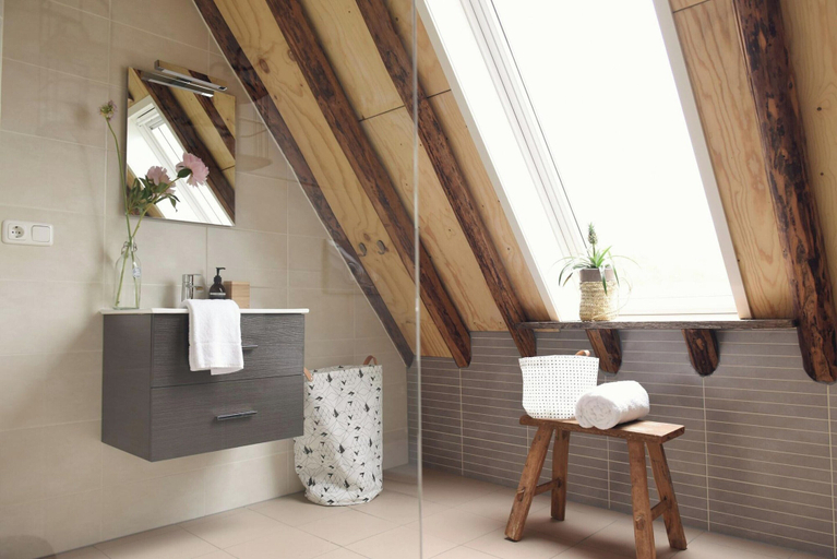 Bathroom 3, Hoeve Landzicht Accommodation for 24-people, Zijpe