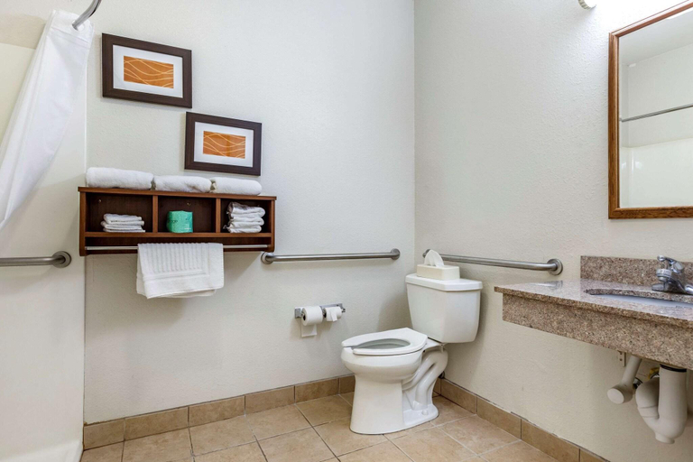 Bathroom 4, Comfort Inn Kalamazoo Area, Kalamazoo