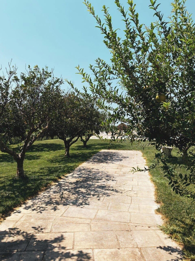 Others 5, Tenuta Gli Agrumi del Salento, Lecce