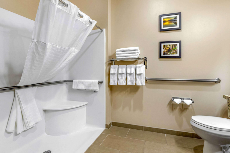 Bathroom 4, Comfort Inn & Suites Davenport - Quad Cities, Scott
