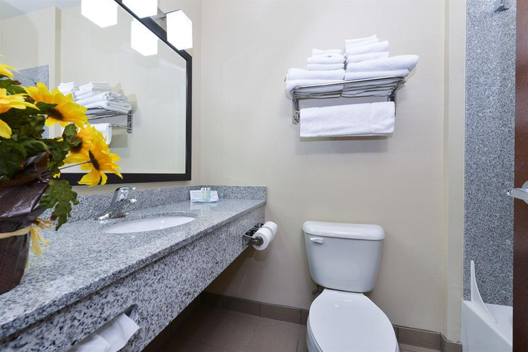 Bathroom, Comfort Inn & Suites Page at Lake Powell, Coconino